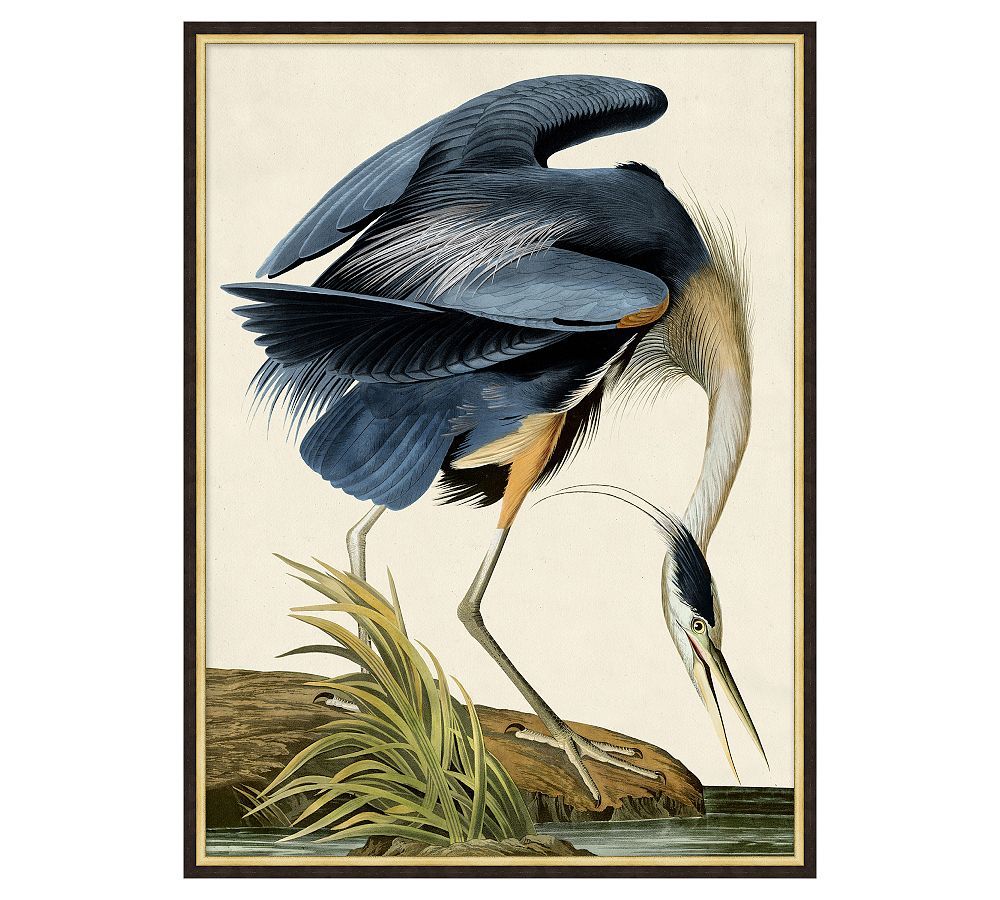 Blue Heron Framed Print | Pottery Barn (US)