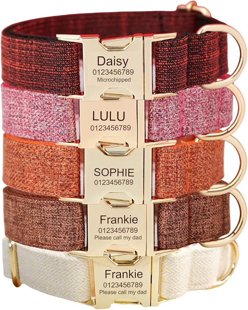 Custom Engraved Dog Collar with Name and Phone Number, Personalized for Small, Medium, and Large ... | Amazon (US)