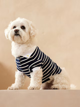 Dog Polo | Banana Republic (US)