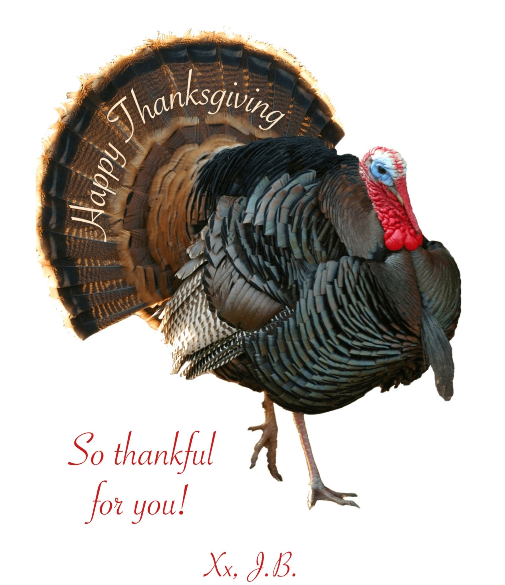Happy Thanksgiving Friends!

Wishing you a wonderful day filled with feasts and family!

Xx, Jenny