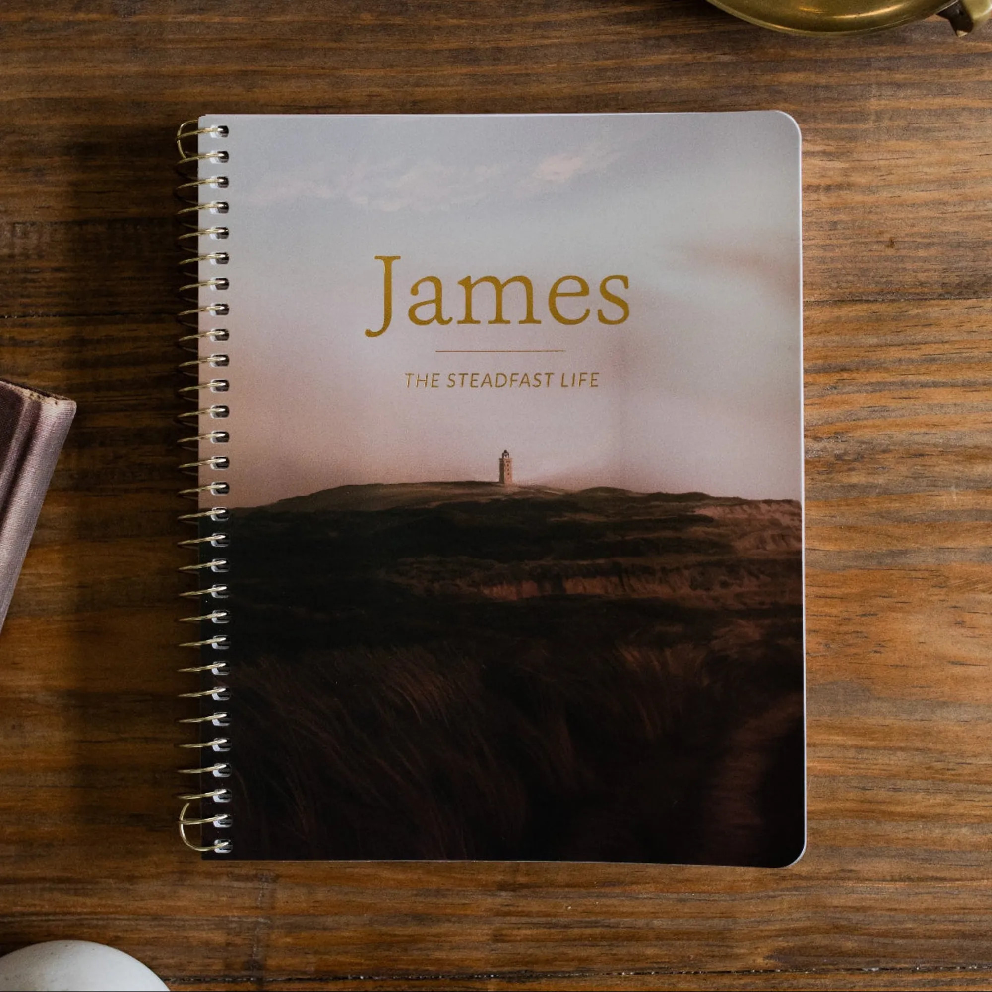 James Bible Study | The Daily Grace Co.