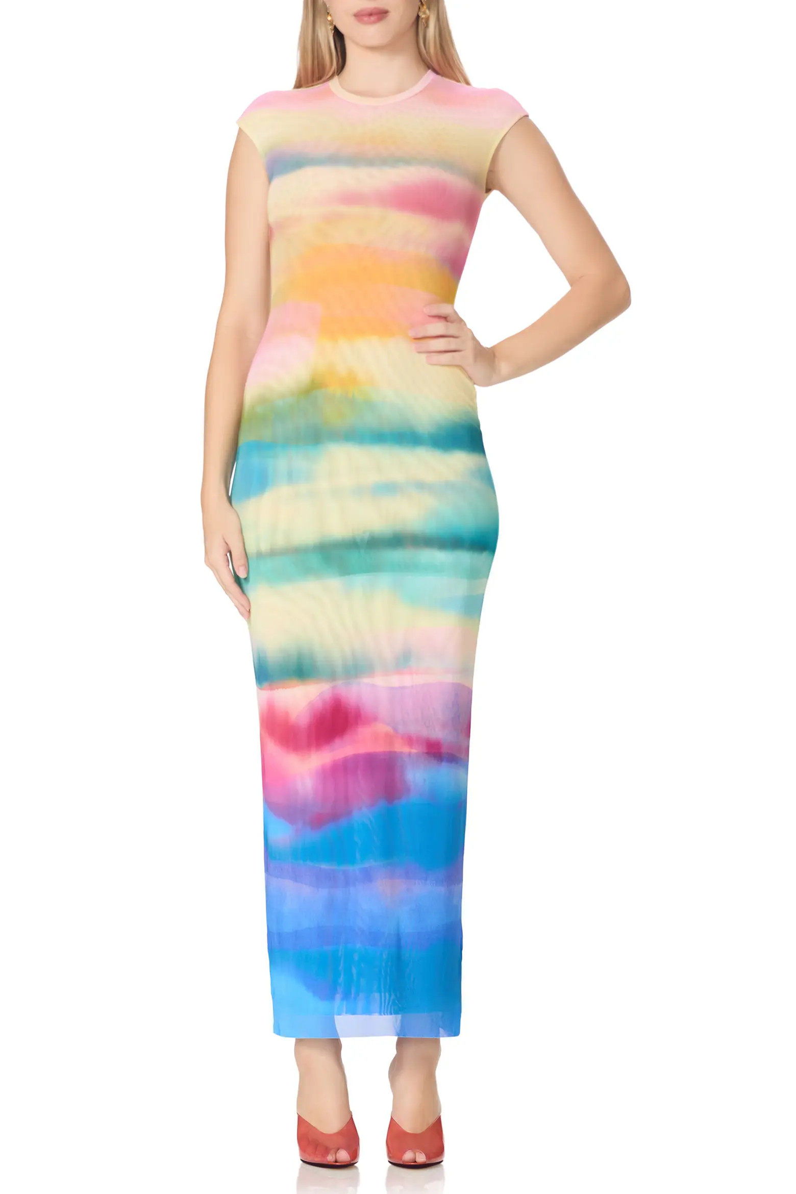 Mylo Print Mesh Maxi Dress (Women) | Nordstrom | Nordstrom