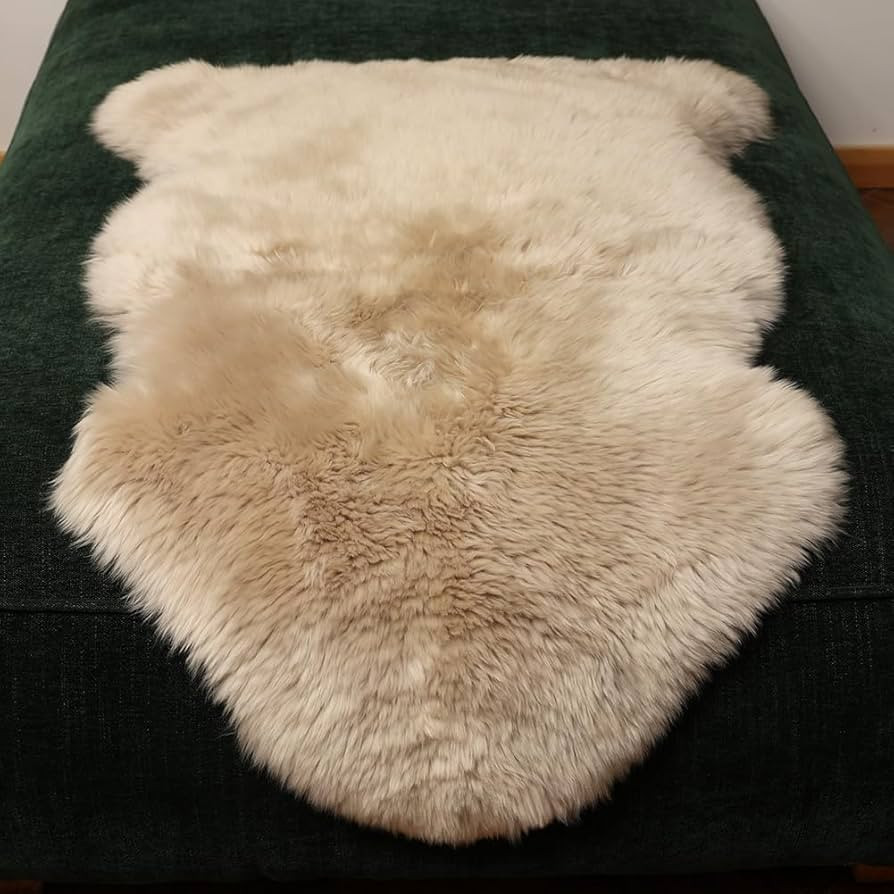 LLB Genuine Sheepskin Area Rug Wool Rug Fur Carpet Fluffy Shaggy Fur Rug for Living Room Kids Bed... | Amazon (US)