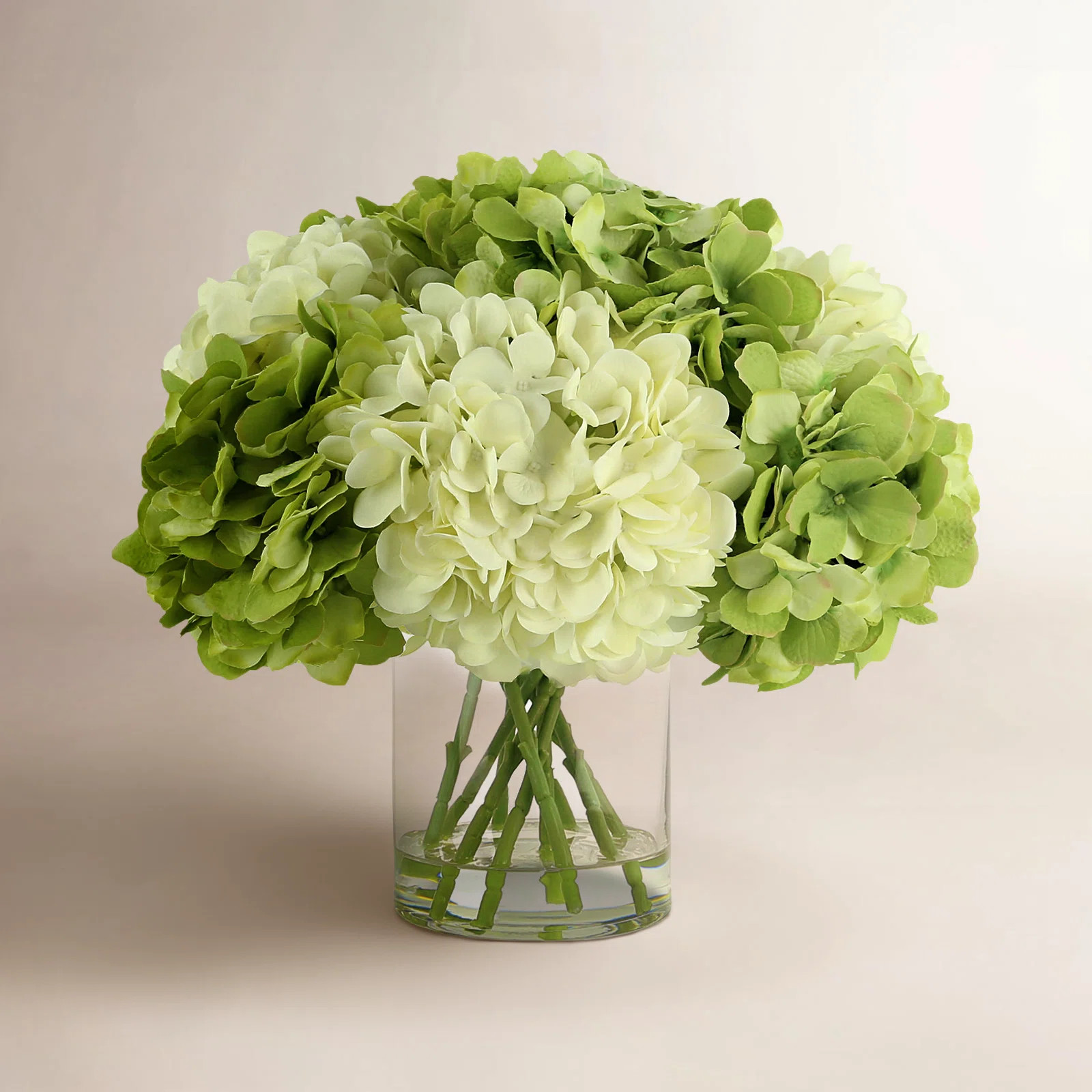 Green White Efflorescence Polysilk Hydrangea Arrangement in Vase | Wayfair North America