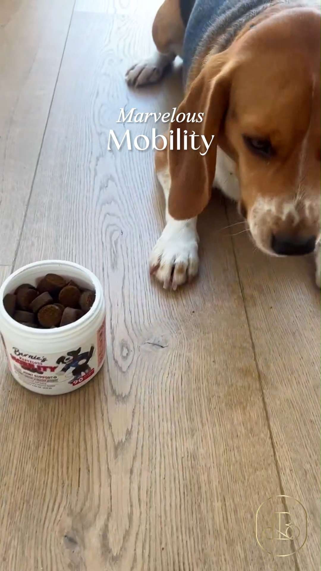 If your pup needs a little extra support to keep moving comfortably, this is worth checking out 🐕 Bernie’s Marvelous Mobility is designed to support flexibility, movement, and overall joint health, especially for dogs who love to stay on the go. A simple daily addition that fits easily into a wellness routine 🦴 #dogsupplements #jointhealthfordogs #petwellness #dogcare#mobilitysupport #petcaremusthaves  

#LTKHome #LTKFindsUnder50