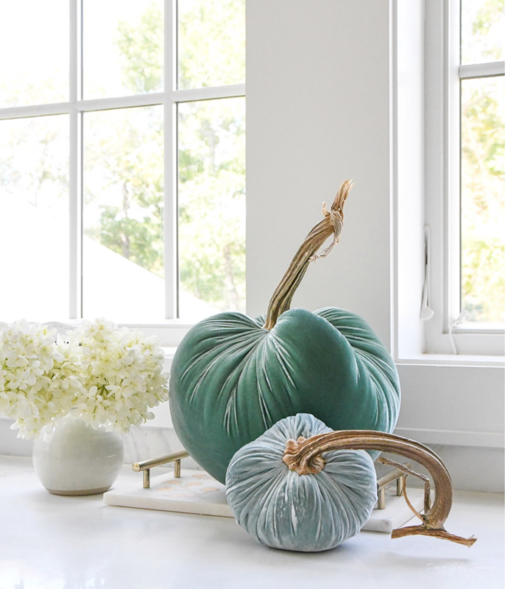 Fall decor
Velvet pumpkins 

#LTKhome