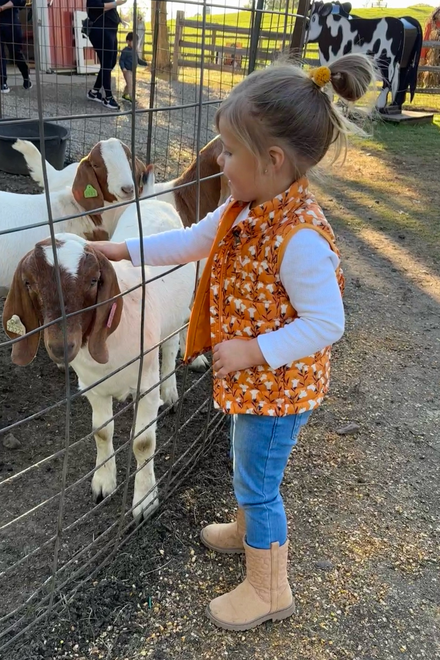 Toddler outfit / fall outfit for kids / toddler vest

#LTKSeasonal #LTKFindsUnder50 #LTKKids