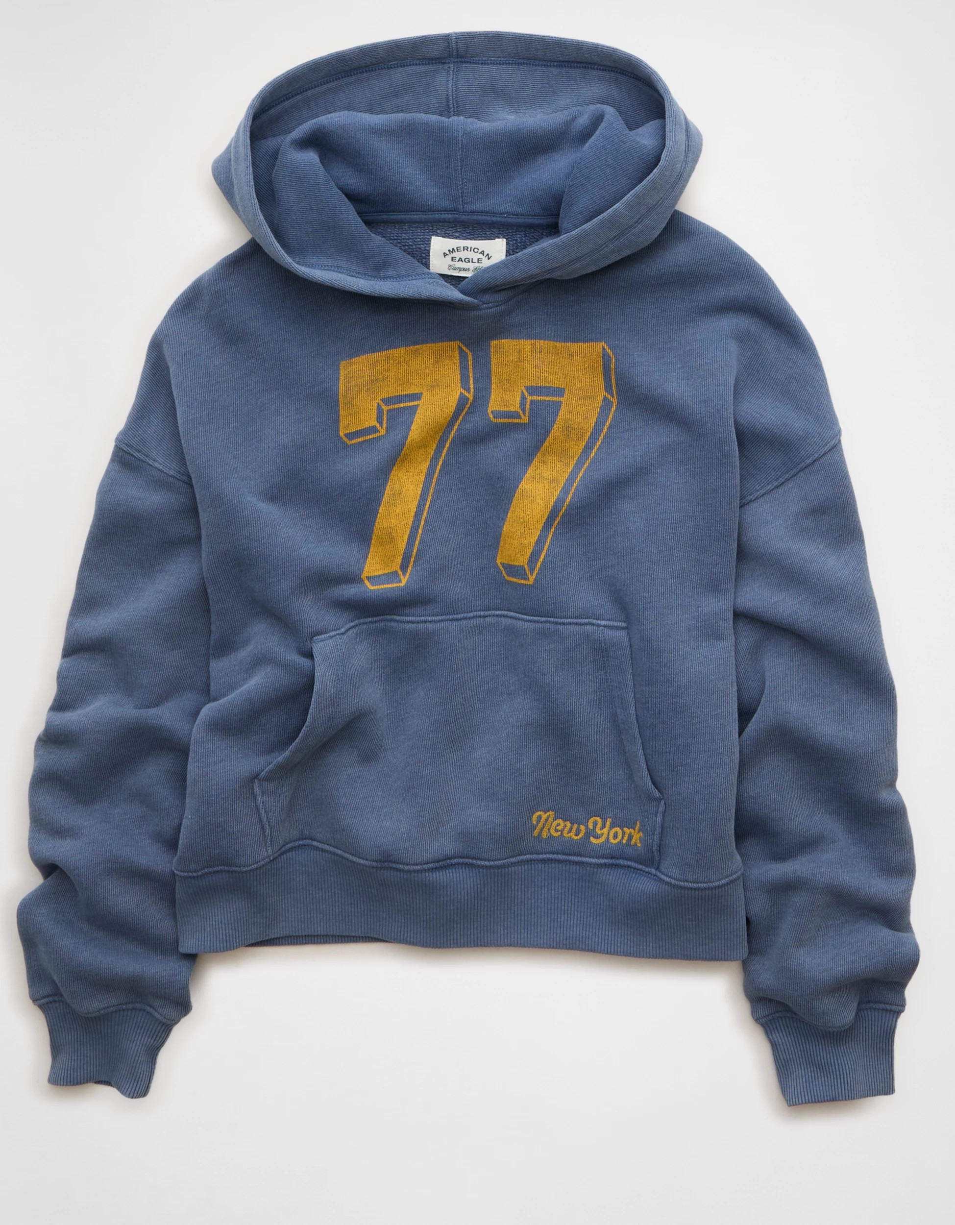 AE Campus Hoodie | American Eagle Outfitters (US & CA)