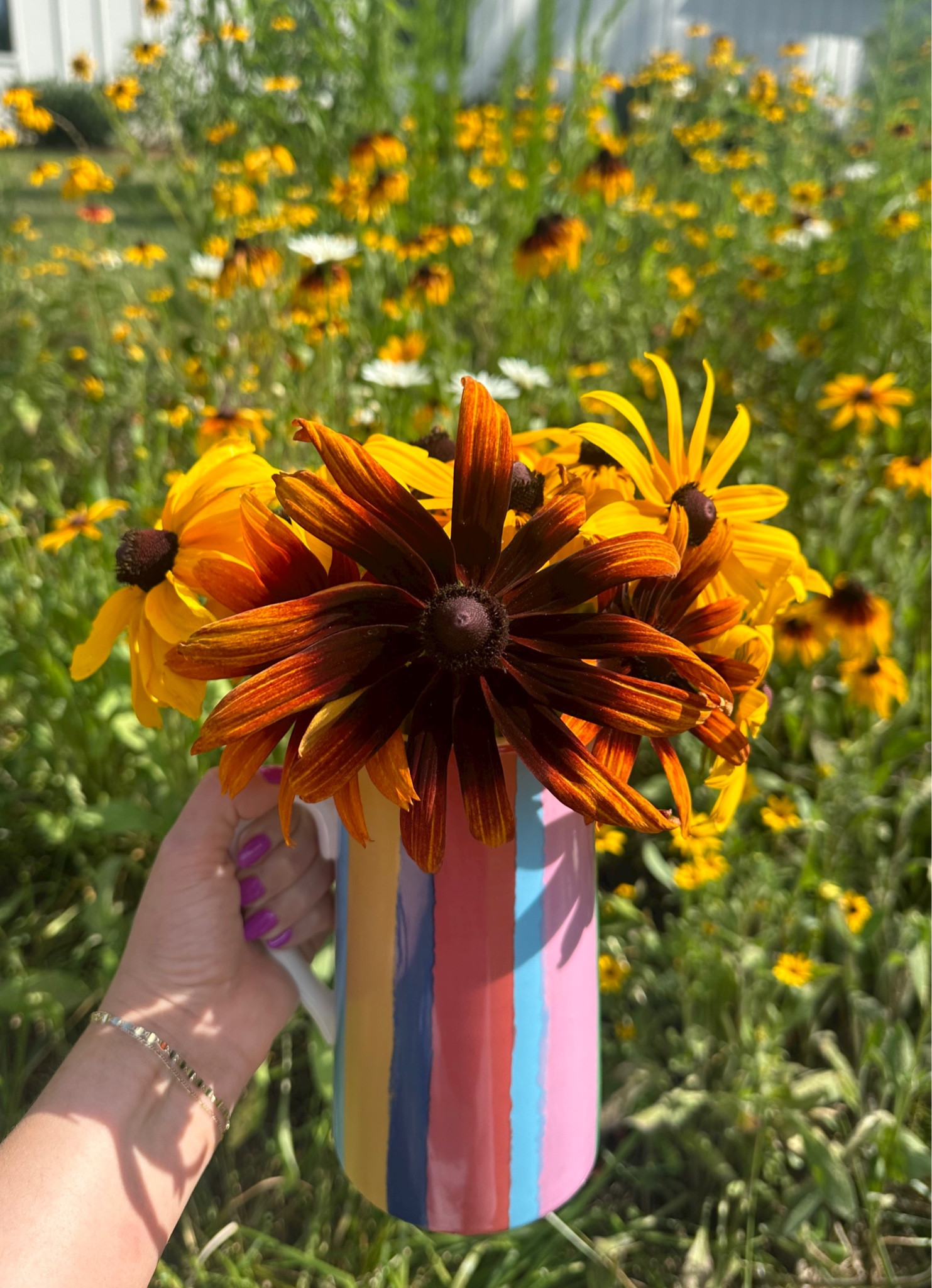 Pitcher on sale - $7.99 from Michaels 

#LTKHome #LTKSeasonal #LTKSummerSales