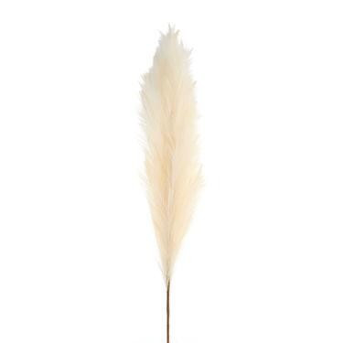 Large Natural Faux Pampas Grass Stem | World Market