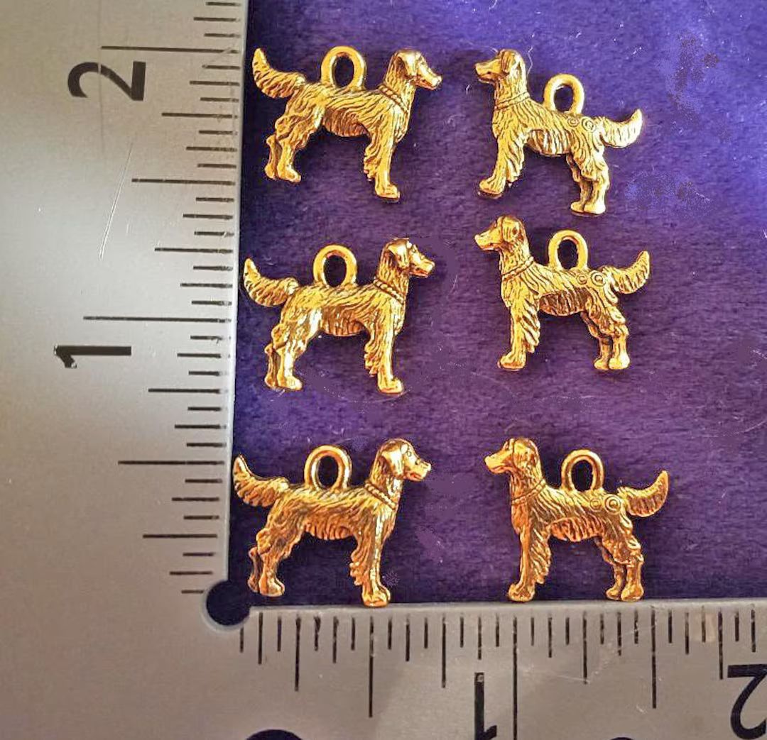 Price Reduced: 6 RETRIEVER DOG CHARMS With Rings. Antique Gold . 3 Pairs. - Etsy | Etsy (US)