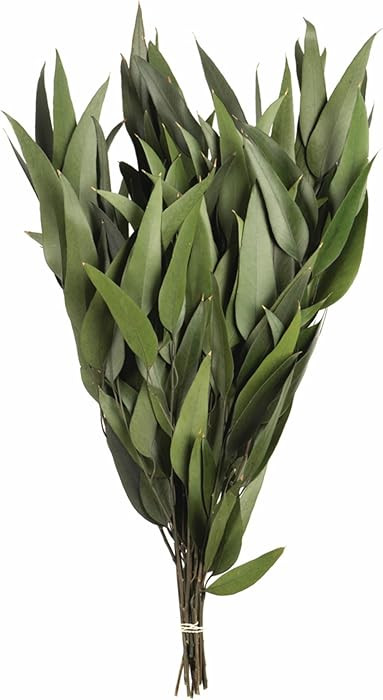 Vickerman 18" Green Weeping Willow Eucalyptus Bundle Long Stem - 5 oz Bundle 2 - Real Preserved F... | Amazon (US)