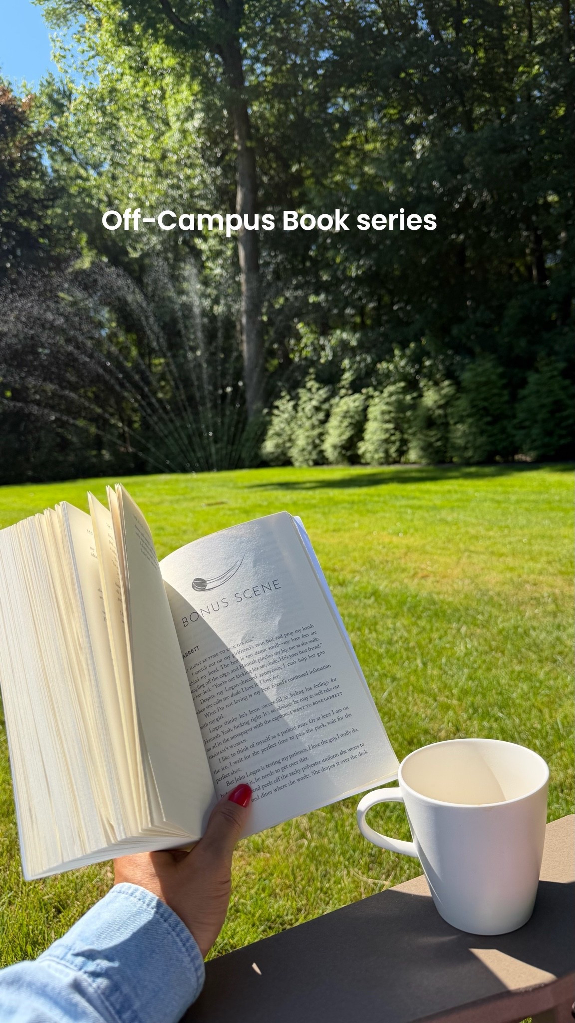 If you want a book that will keep you entertained, daydreaming and 💦