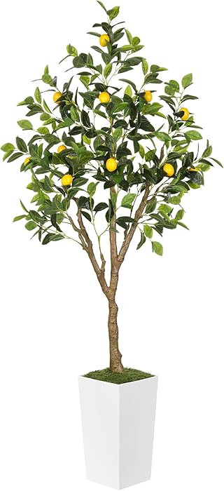 6FT Artificial Lemon Tree with Pot, Fake Lemon Tree with White Tall Planter, Faux Lemon Plant wit... | Amazon (US)