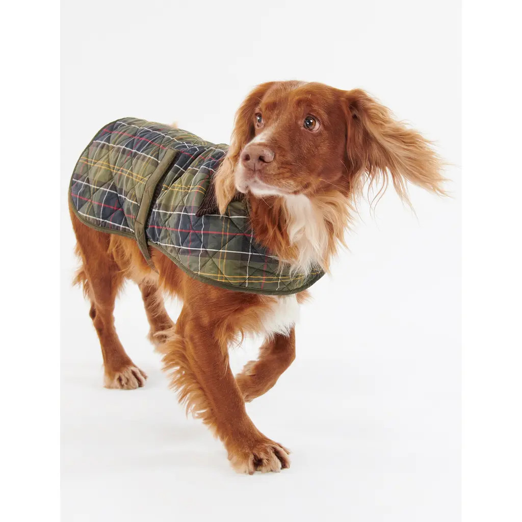 Barbour Quilted Tartan Dog Coat in Classic at Nordstrom, Size Xx-Large | Nordstrom