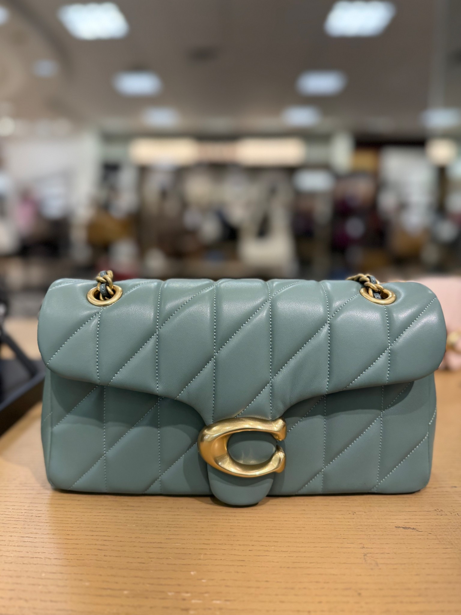 The Coach Quilted Tabby 26 in Sage is effortlessly chic. The color, the quilting—such an easy way to elevate any look! 💚✨ #Coach #QuiltedTabby26 #LTKHandbags #LTKFinds

#LTKItBag #LTKStyleTip
