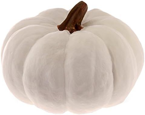 Boston International Pumpkin Decorative Table Accent, Small, White | Amazon (US)