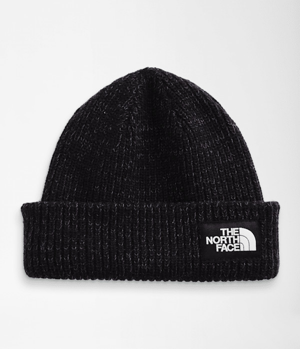 The North Face Salty Lined Beanie: Black | The North Face (US)