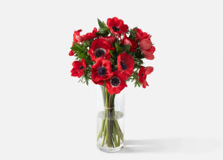 The Rockette | UrbanStems