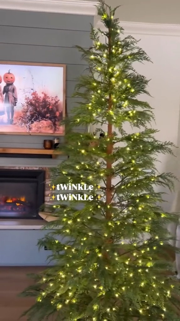 Here's your sign to nab this gorgeous My Texas House Christmas Tree from Walmart when it restocks 🌲

Sizes: 4, 7.5 or 9 foot.

WHY is it so popular?
5 minute set up + minimal fluffing and the glowiest lights ✨

#walmarthome #christmasinseptember #christmastrees #walmartchristmas #christmastok #Itkhome #itkseasonal

#LTKVideo #LTKHome #LTKSeasonal