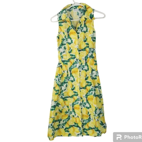 Chloe + Rene Lemon Print Sleeveless Button Front Midi Summer Dress Size S | Poshmark