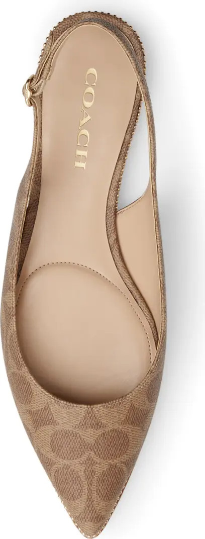 Claire Slingback Pointed Toe Flat (Women) | Nordstrom