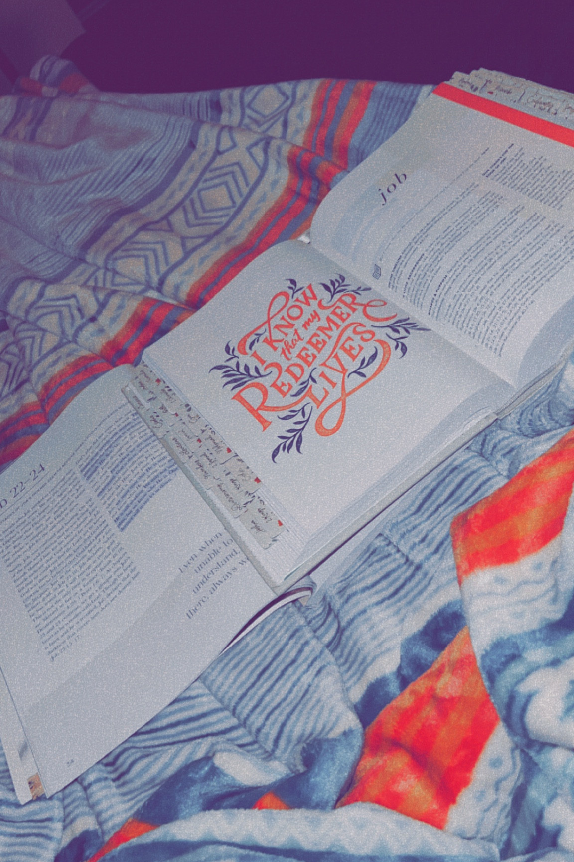 I use my #shereadstruth bible every night. It has spaces for note-taking, maps, and written in ESV. It has definitely helped me grow in my faith this year!🩵

#LTKHome #LTKFindsUnder50 #LTKGiftGuide