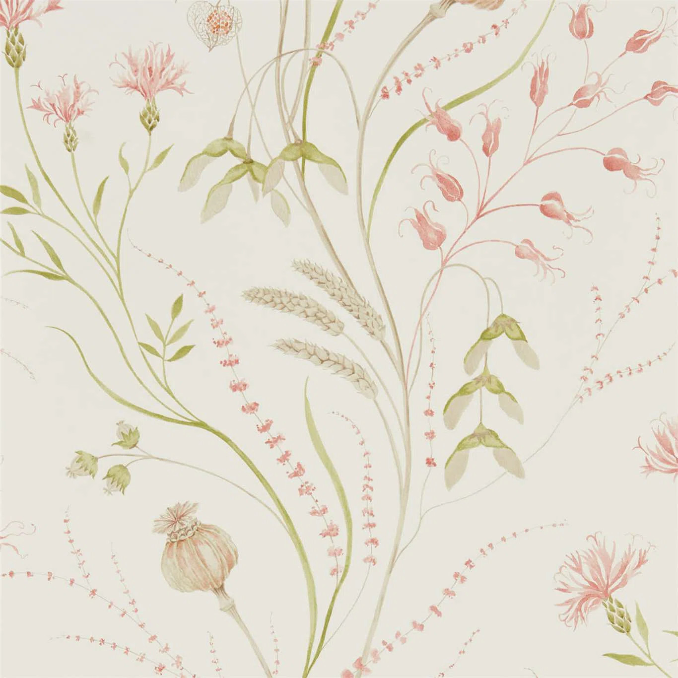 Summer Harvest Floral Wallpaper Roll by In-House | Wayfair North America