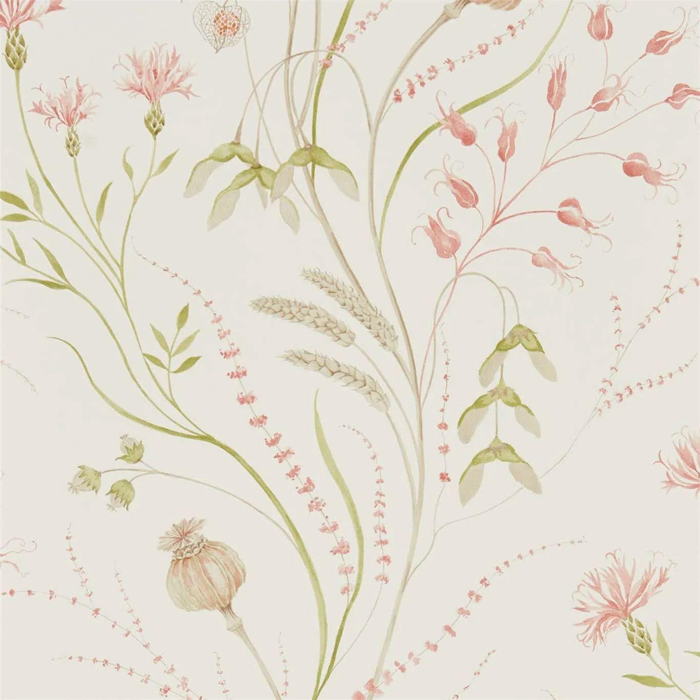Summer Harvest Floral Wallpaper Roll by In-House | Wayfair North America