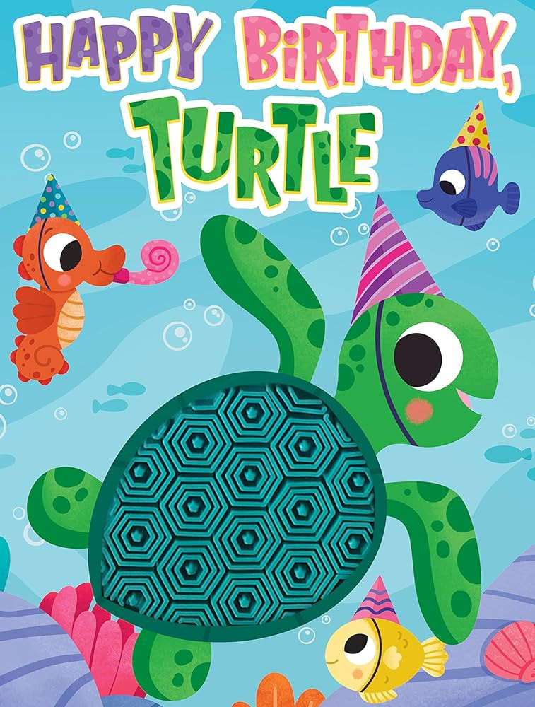 Little Hippo Books Happy Birthday Turtle I Ocean Children's Books Ages 1-3 | Touch and Feel Books... | Amazon (US)