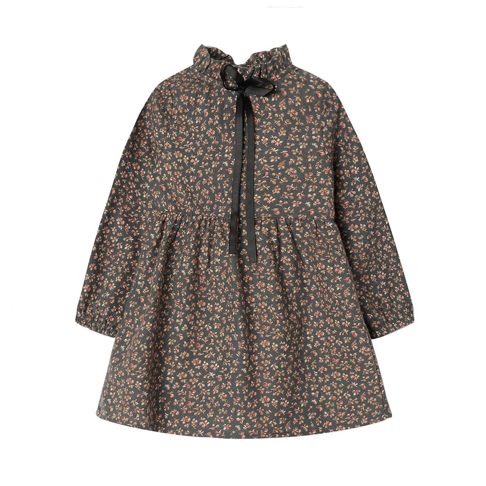 Mud Kingdom Fashion Little Girls Floral Dress Long Sleeve Ruffled Cute Spring Autumn | Amazon (US)