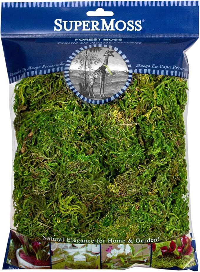 Amazon.com: SuperMoss (25323) Forest Moss Preserved - Long-Lasting Natural Moss for Indoor/Outdoo... | Amazon (US)