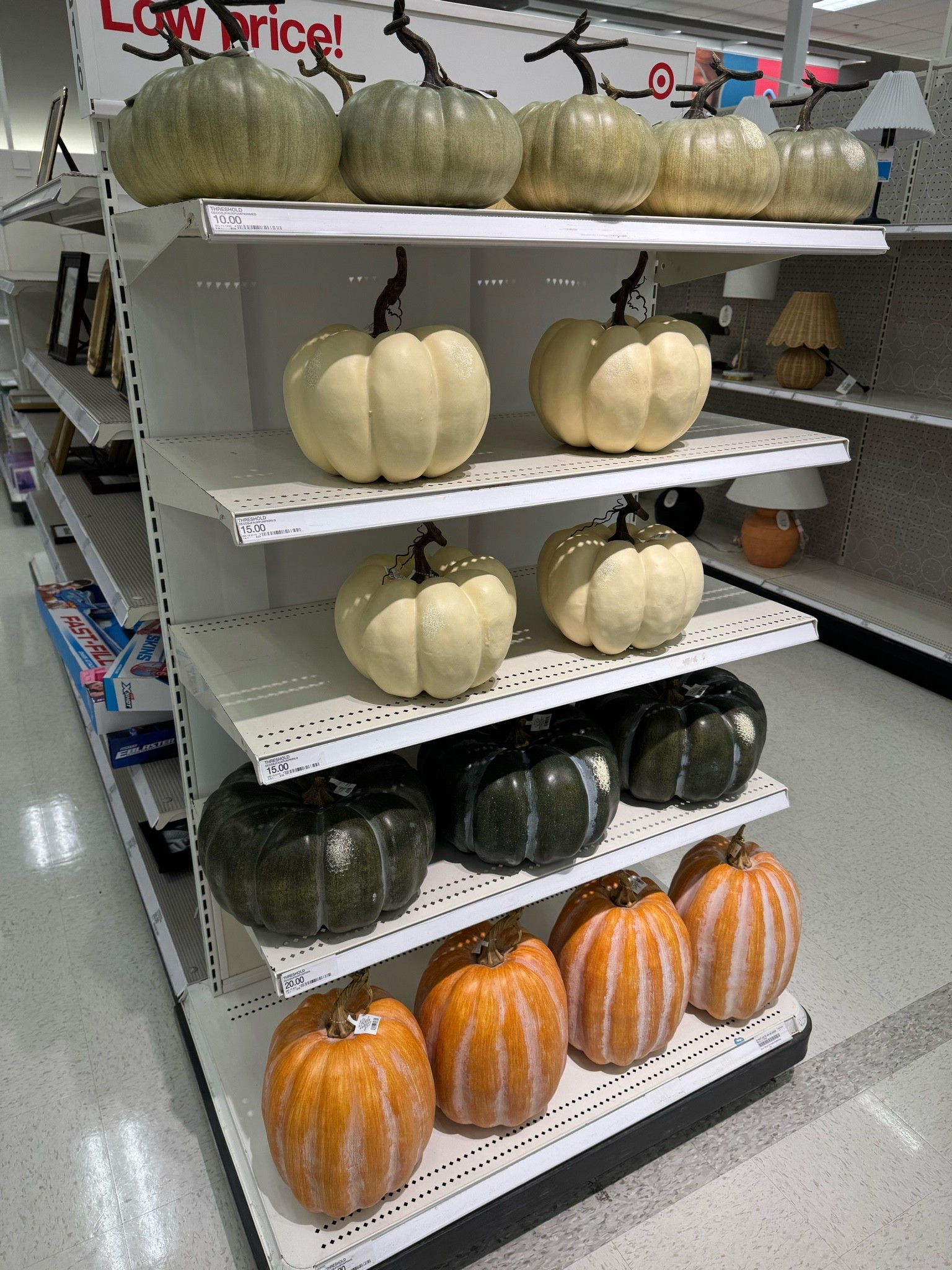 New pumpkins for fall!

#LTKSaleAlert #LTKHome #LTKSeasonal