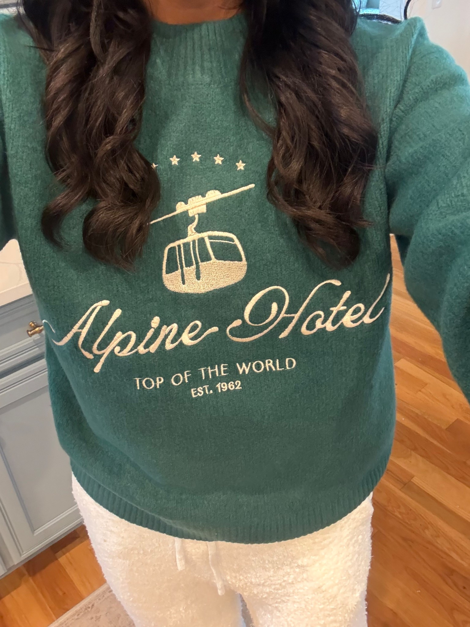 Target, Alpine Hotel, Universal Thread, cozy knit, comfy clothing, seasonal clothing, sweaters, ski-inspired clothing, pullover sweater, must-have clothing

#LTKSeasonal #LTKHoliday #LTKFindsUnder100