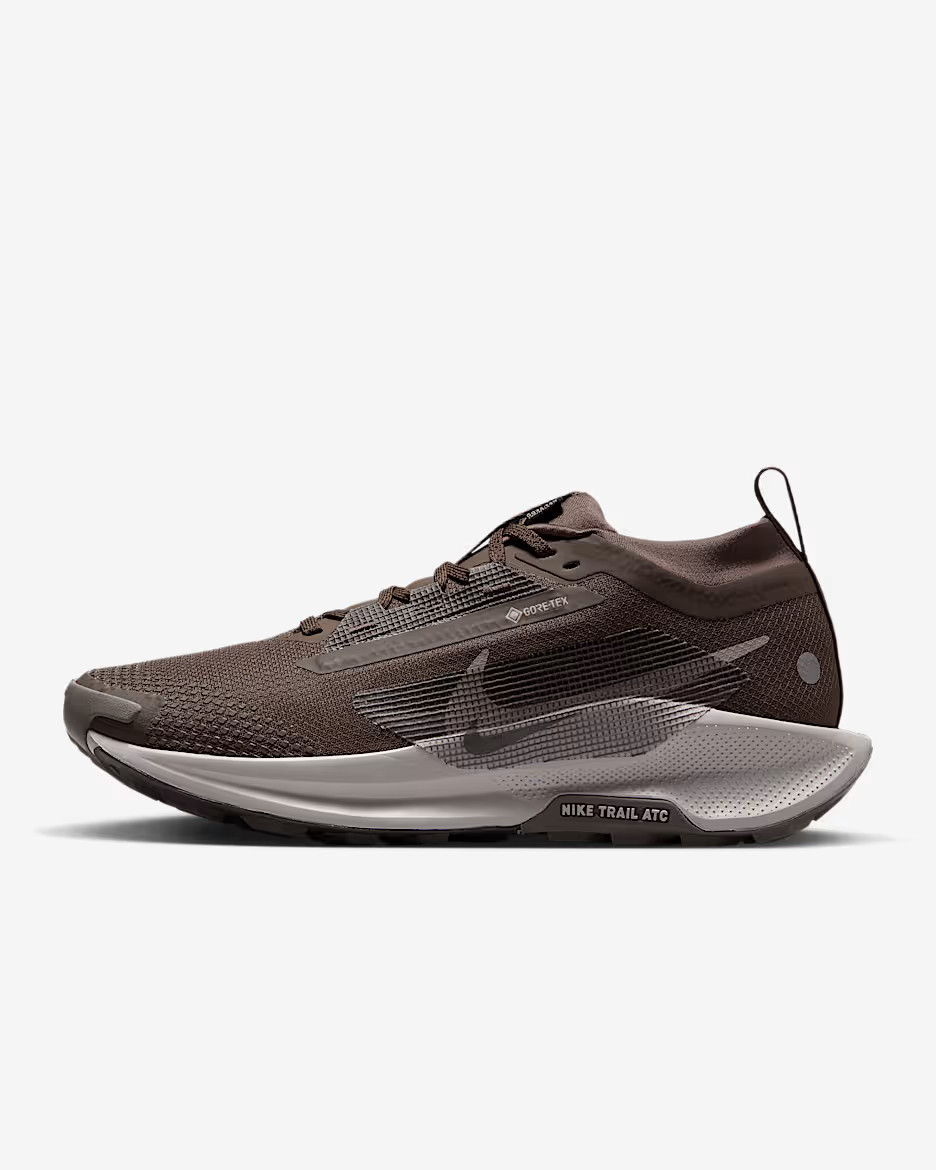 Nike Pegasus Trail 5 GORE-TEX | Nike (UK)