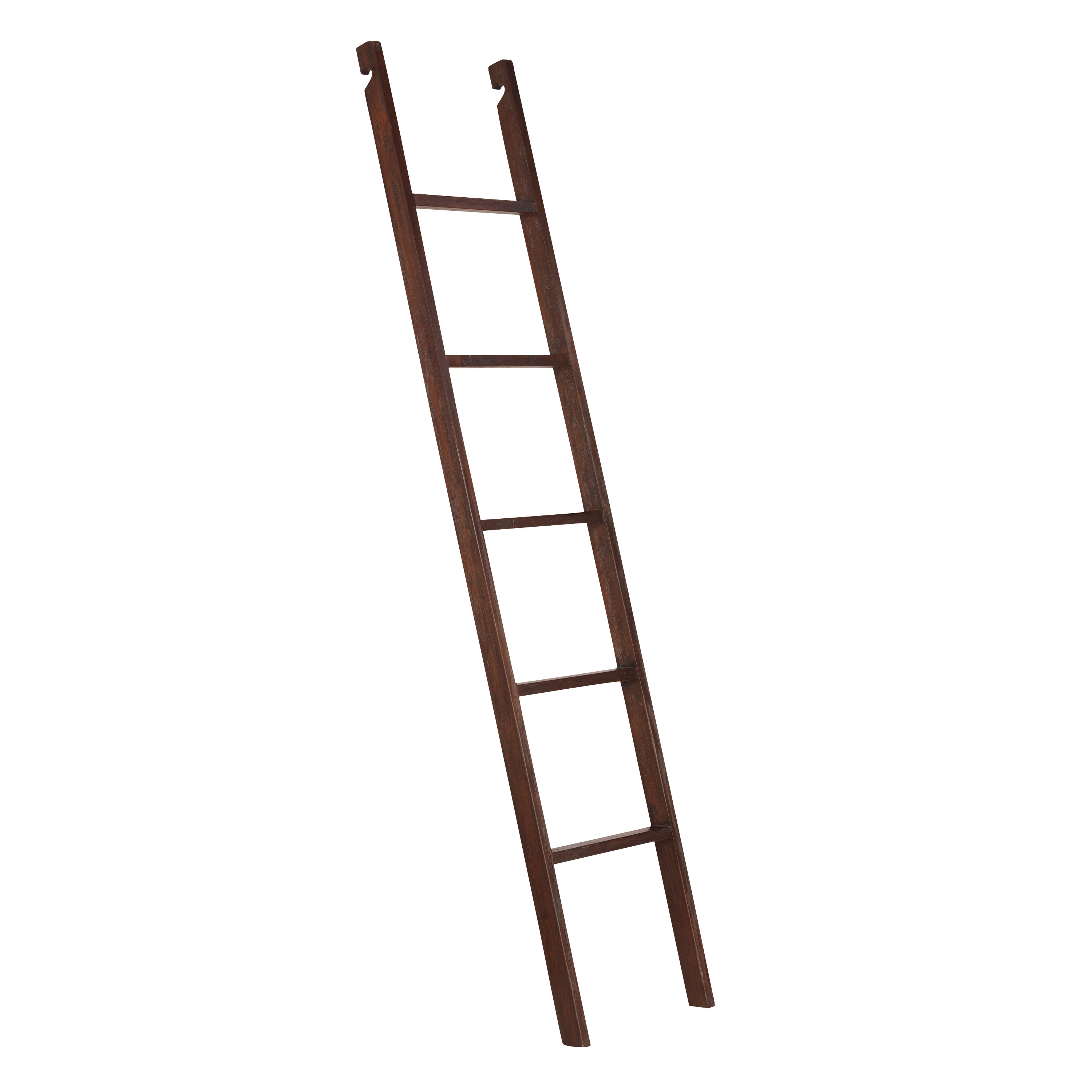 Augustus Wood Bookshelf Ladder | World Market