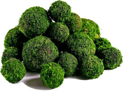 BYHER Moss Balls, 18 PCS Decorative Balls for Centerpiece Bowls - 6pcs 3.2" Natural Dried Balls+ ... | Amazon (US)