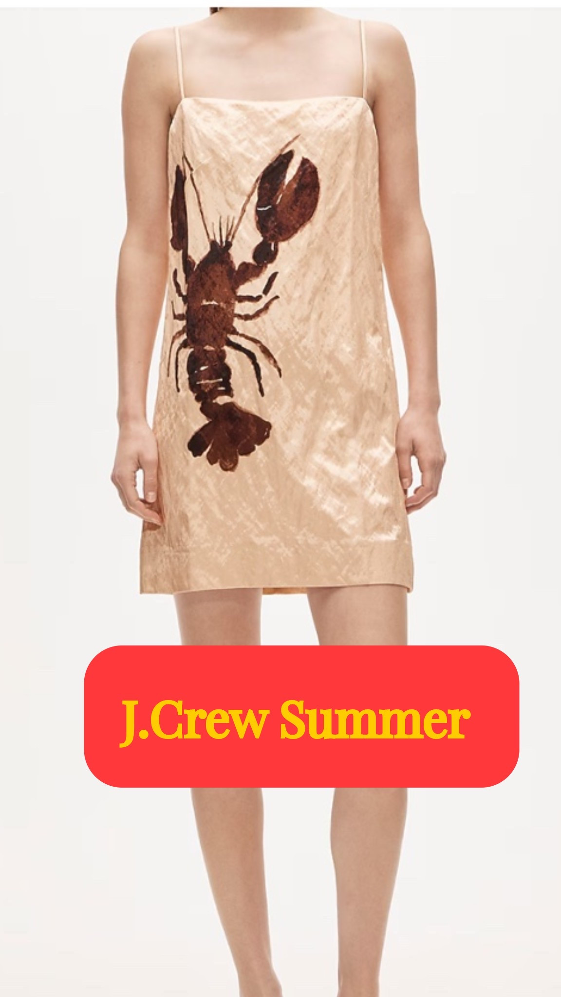 J.crew summer 
Love this lobster dress! 
Summer dresses
Vacation dresses

#LTKSeasonal