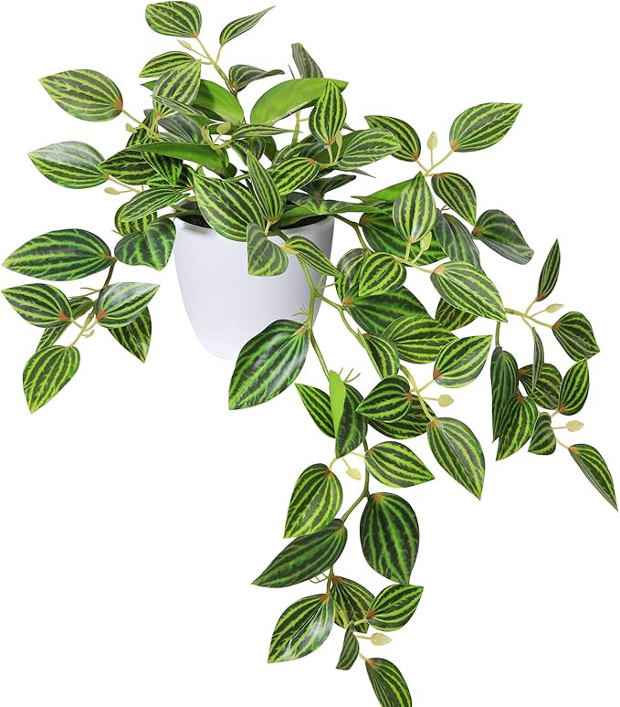 SOGUYI Fake Plants, Artificial Plants 15 Inch Faux Peperomia Watermelon Plants for Indoor Outdoor... | Amazon (US)