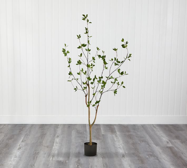 Faux Potted Citrus Tree | Pottery Barn | Pottery Barn (US)