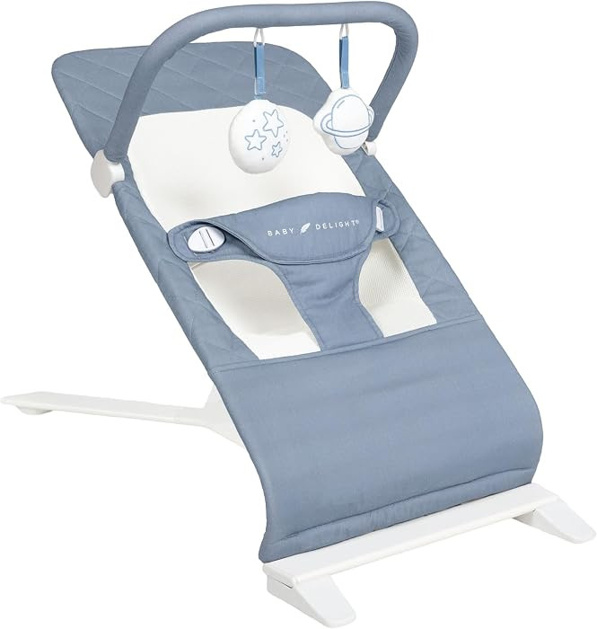 Baby Delight Alpine Deluxe Portable Bouncer, Organic Dusty Blue | Amazon (US)