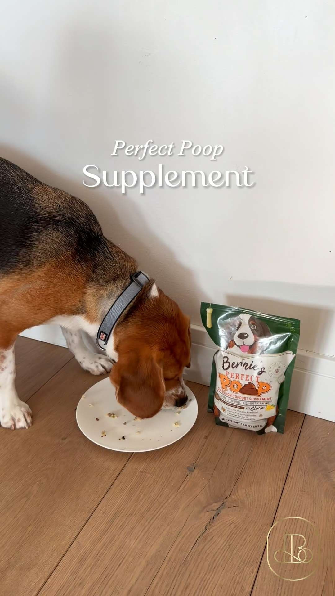 If you're trying to navigate loose stools, random gas, or picky eating, skip the guesswork and the cabinet full of random supplements. Bernie’s Perfect Poop is the ultimate beginner-friendly shortcut. It packs complete gut support - fiber, probiotics, and digestive enzymes - into one single, easy-to-use bag. 🐶 Perfect to buy if you want to elevate your pet's digestive health, or a busy professional who wants their pet to have the premium health care!  🐾 #PetParentHacks #PetGutHealth #PerfectPoop #ProactivePetCare #DogHealthTips 

#LTKHome