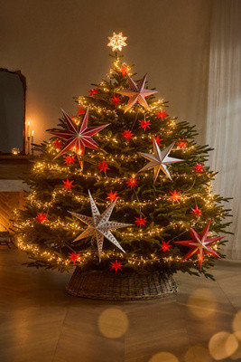 Artificial Nostalgic Pine, 7' | Anthropologie (US)
