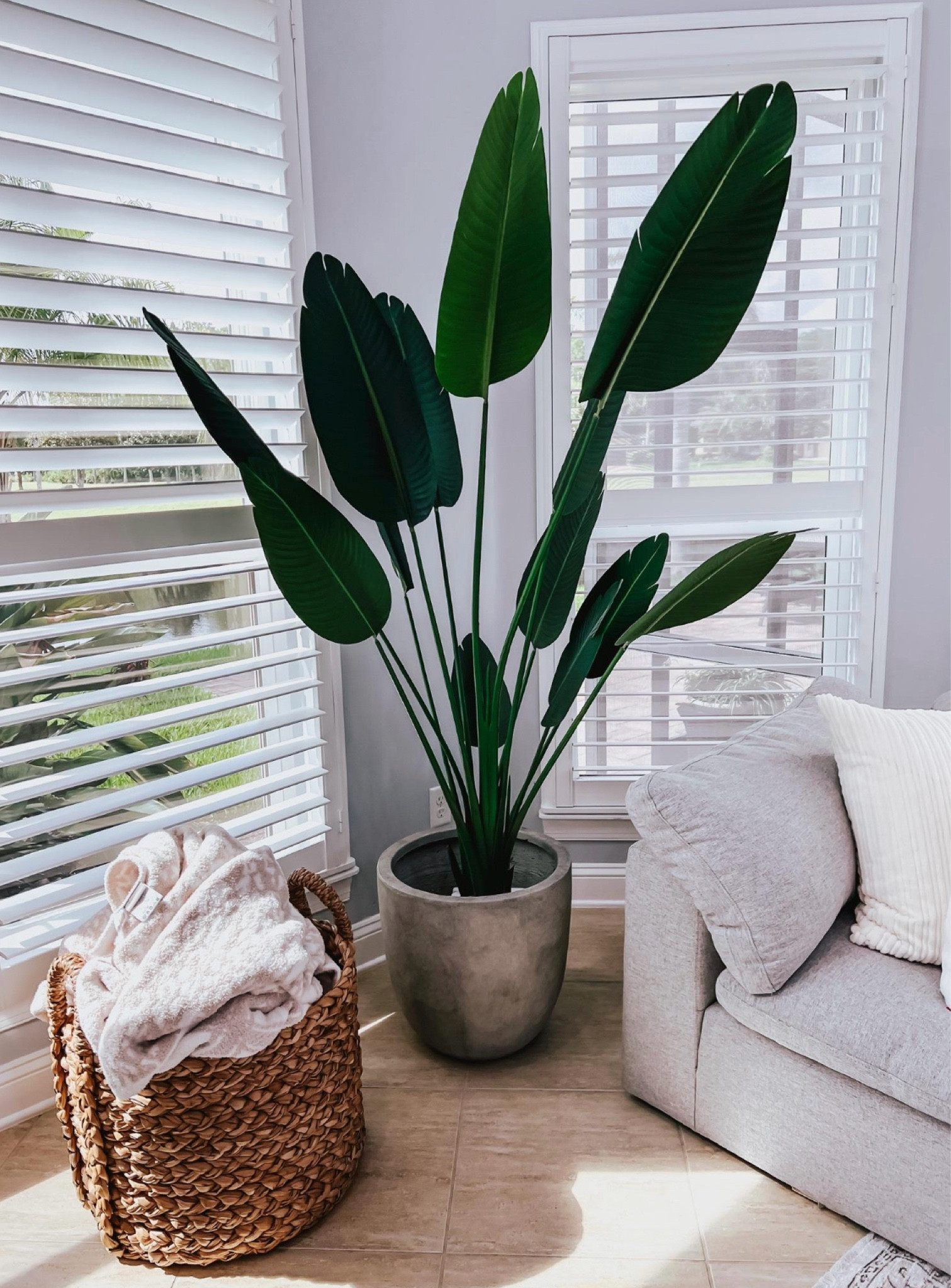 Our faux Amazon plant!

#LTKFindsUnder50 #LTKSaleAlert #LTKHome