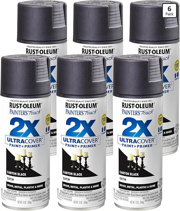 Rust-Oleum 346951-6PK Painter's Touch 2X Ultra Cover Spray Paint, 12 oz, Satin Canyon Black, 6 Pa... | Amazon (US)