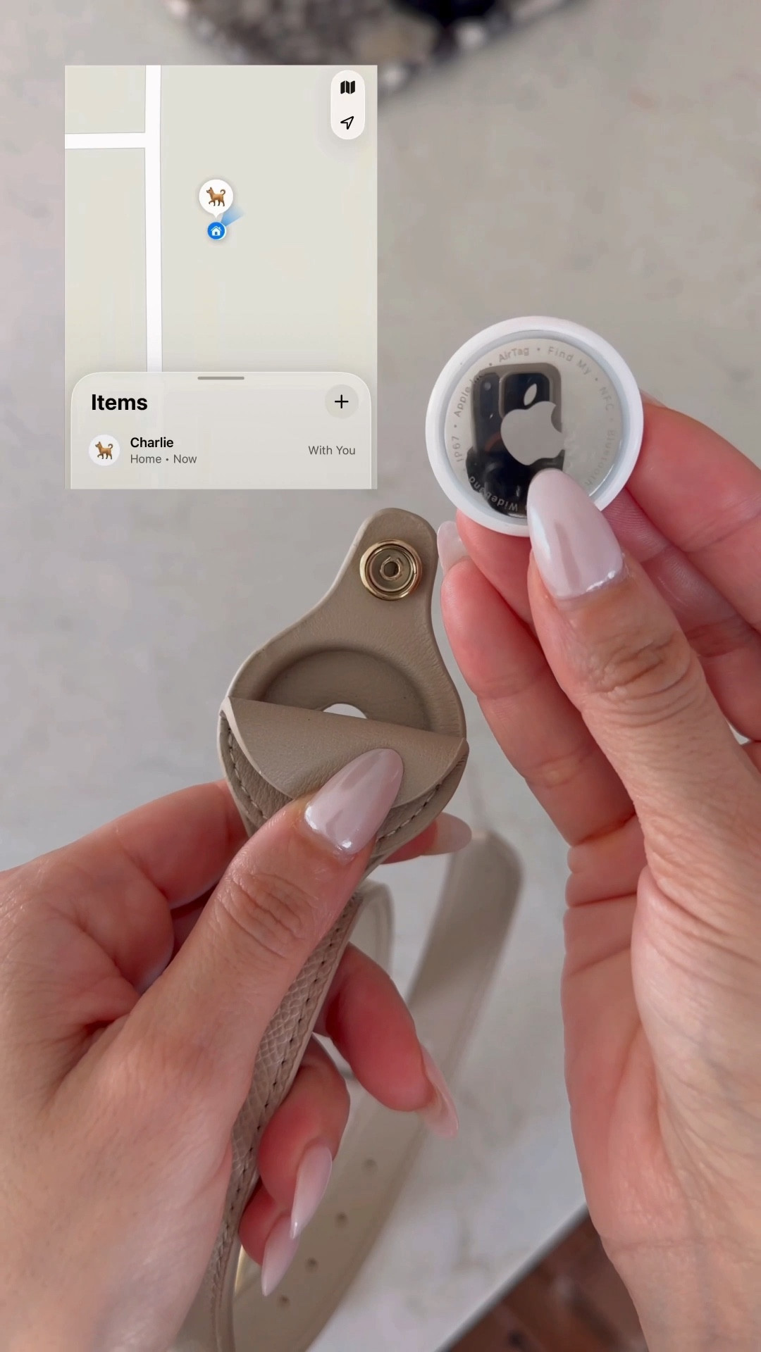 Pet essentials I use all the time and actually swear by. 

#LTKPets
#amazonfinds
#petessentials