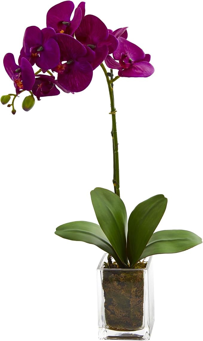 Nearly Natural 20in. Orchid Phalaenopsis Artificial Arrangement in Vase | Amazon (US)