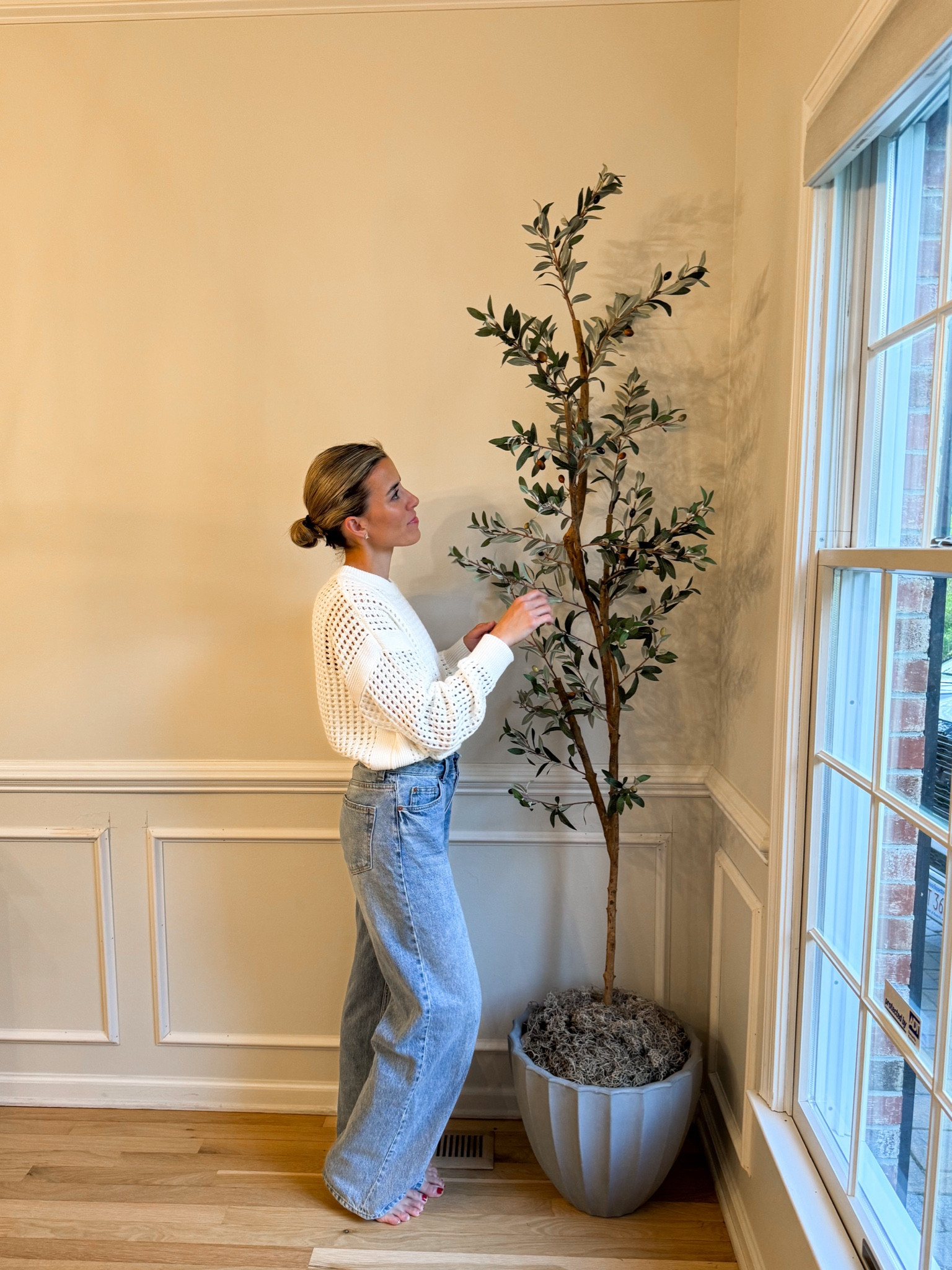 Olive tree on promotion right now from The Home Depot 
#thehomedepotpartner #thehomedepot 

#LTKSaleAlert #LTKFindsUnder100