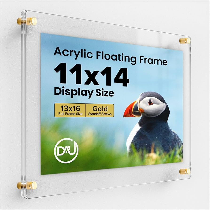 Acrylic Floating Frames Gold Standoffs(single) 11" x 14" Clear Acrylic Frames for Wall Mount Floa... | Amazon (US)