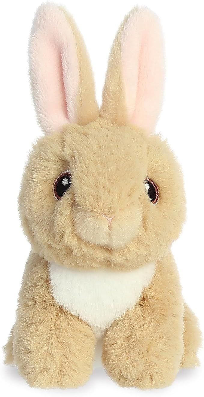 Aurora® Eco-Friendly Eco Nation™ Mini Tan Bunny Stuffed Animal - Environmental Consciousness -... | Amazon (US)